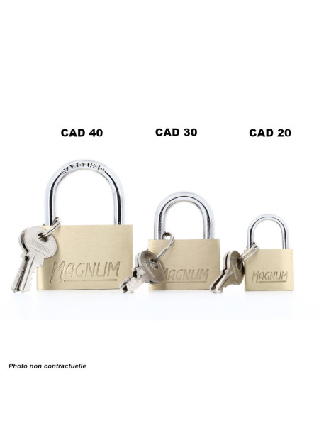 Pack de 12 Master Lock CAD20