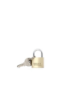 Pack de 12 Master Lock CAD20
