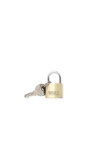 Pack de 12 Master Lock CAD20