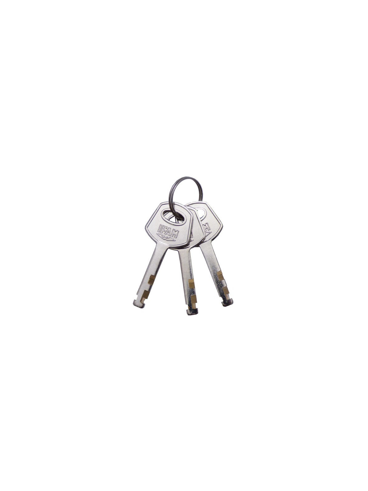 Cadenas IFAM InoxTop 40