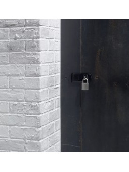 Porte cadenas Master Lock 723EURD en fonte d'acier zingué