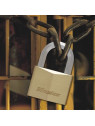 Cadenas Master Lock 1145EURD pour une utilisation extérieure et intérieure